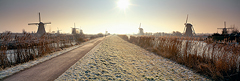 Windmills Holland Netherlands Kinderdijk Kinderdyke sunrise winter